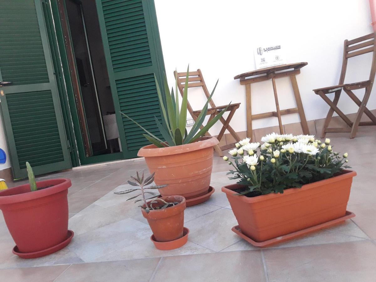 Il Cavalliere Bed & Breakfast Barletta Dış mekan fotoğraf